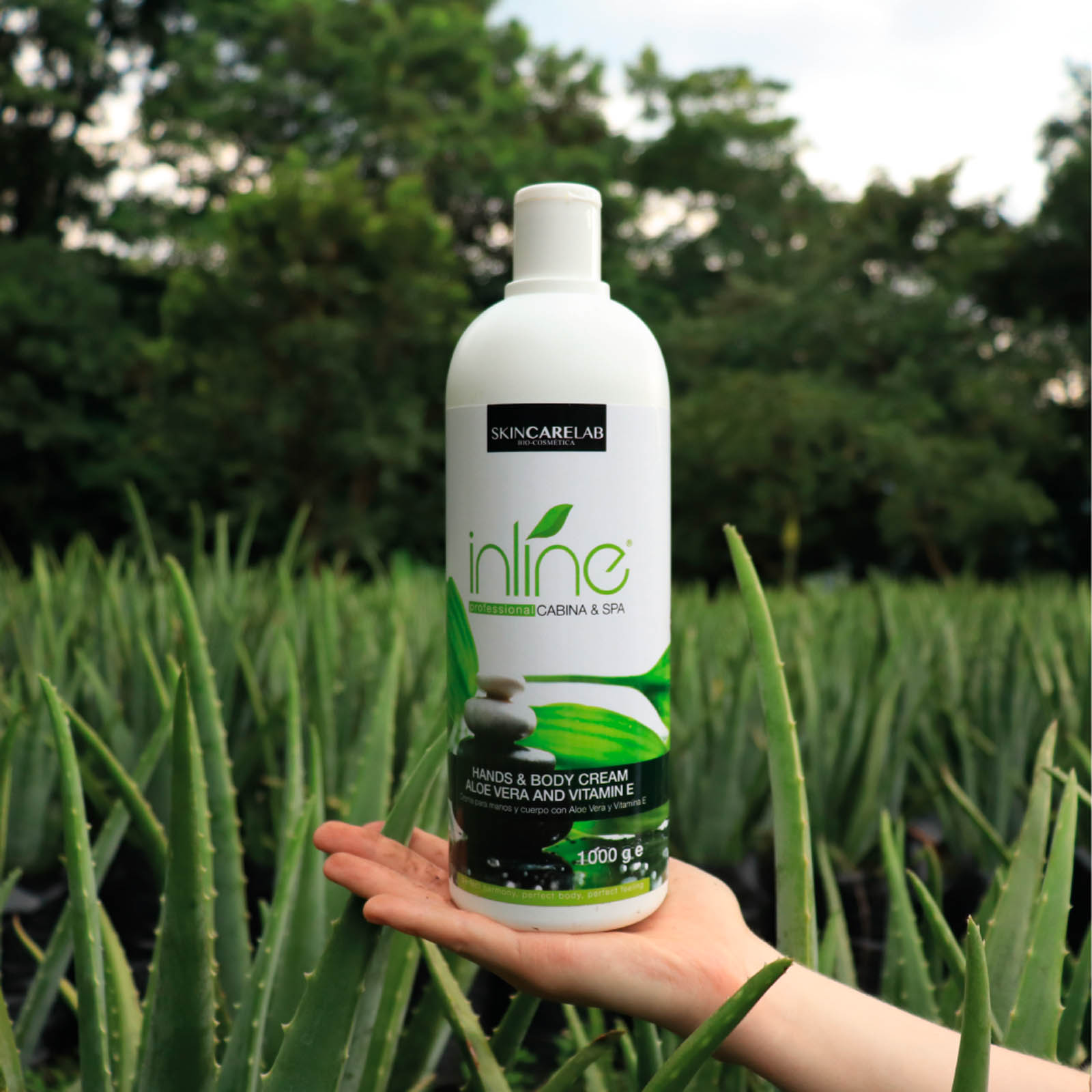 foto web 1 conocenos