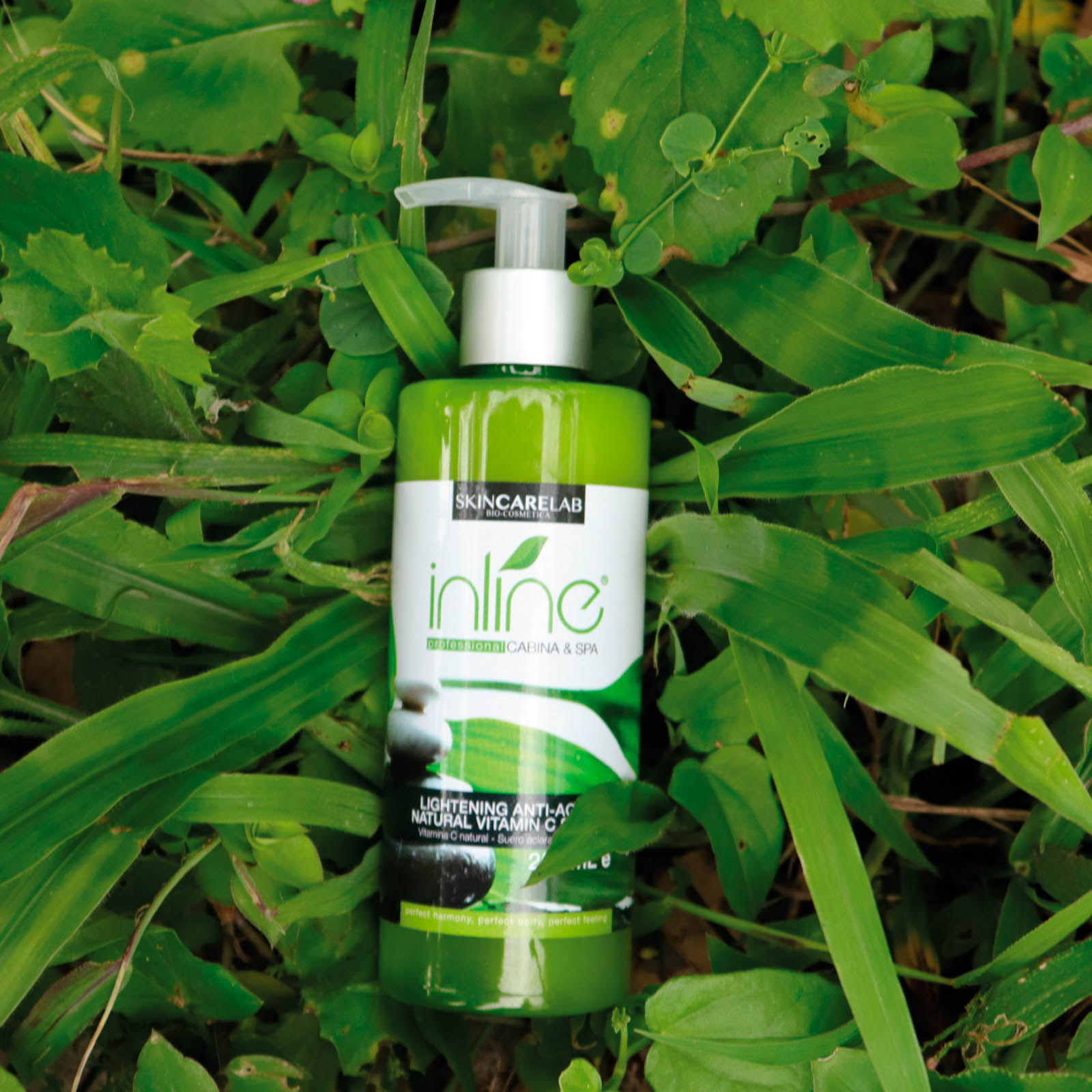 foto web 2 conocenos